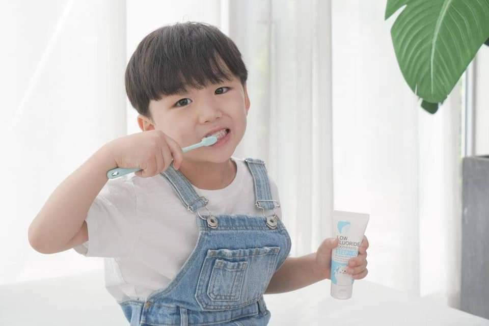 마이어스데이 알파케어플러스 치약